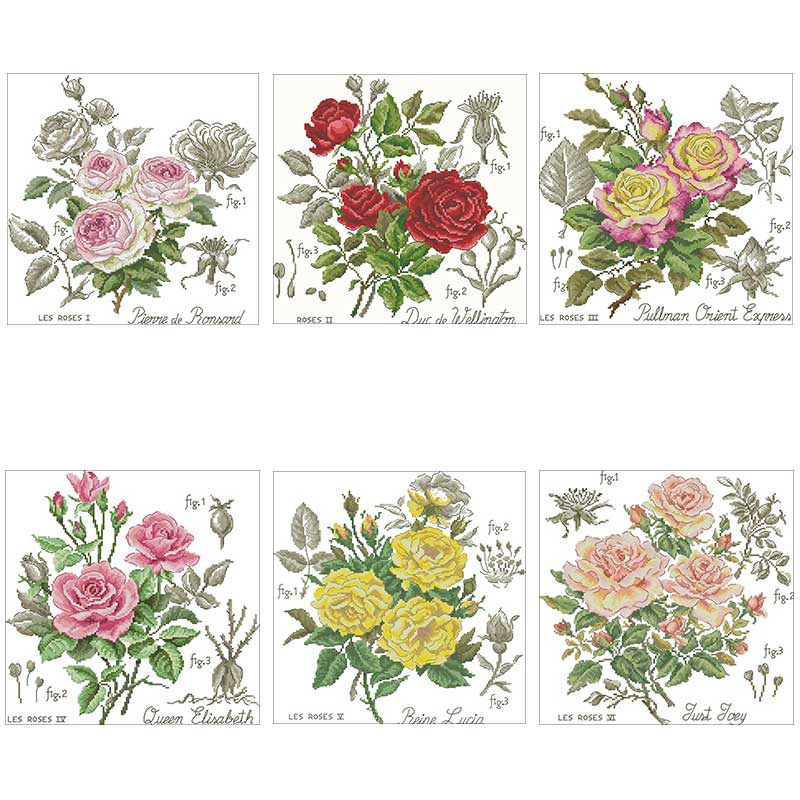 Shadow Rose Patterns Counted 1 - Embroidery Rose Stitch review and price